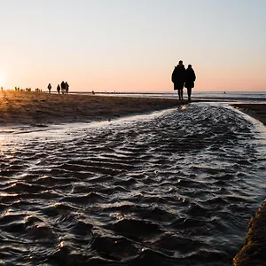 Pier View België